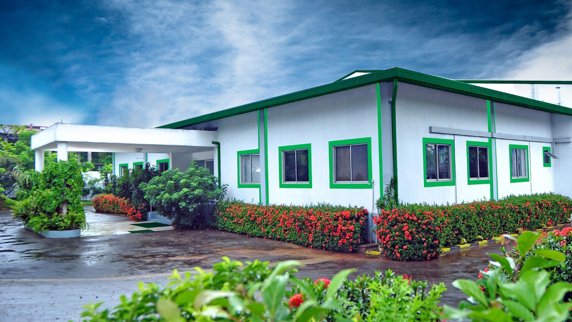 Smart Packaging: Is It the Future of Consumer Engagement?